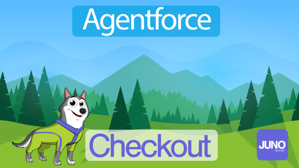 JunoPay with Agentforce making checkout easy