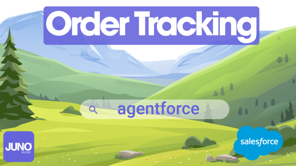 Enhance customer service by giving customers access to order tracking.